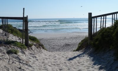 Beach Bohemia