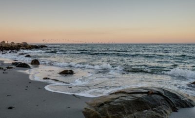 Sea Renity
